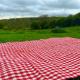 Orchard Cottage - Kent, Lyminge (foto 10)