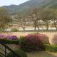Gabriel Villa, Jeongseon (photo 9)