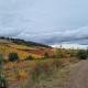 ENTRELASVIÑAS, Carinena (fotografie 3)
