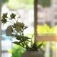 Cozy Room in Cascais City with Full Kitchen 5 minutes from the beach, Cascais (zdjęcie 10)