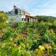 Cottage the Quiet, Vela Luka
