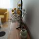 Apartment Eight - Pirot, Pirot - Fotografie 7
