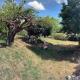 Belle Epoque villa in Fayence, Fayence (foto 10)