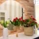 Suite I Tre Cardilli, Matera (fotografie 5)