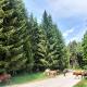Poiana Sașilor - Valea Doftanei, Trăisteni - 写真 10