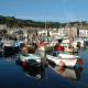 Triple Deck Cottage - 2mins from Mevagissey Harbour - Fotografie 8