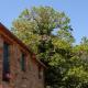 CASA TERRA ALMA, Laza (fotografie 4)