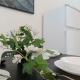 Inviting 2BR shared Apt - centrally located, Wien - Foto 4