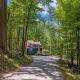 Forest Ridge Cabin - Hot Tub, Wi-Fi, National Park 15 Min, Fire Pit, Elkton (zdjęcie 8)