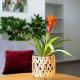 Best spot apartment in Athens, Athens - Photo 5