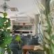 Hotel Haway, Rimini (fotografie 9)