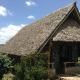 AA Lodge Amboseli, Amboseli (foto 5)