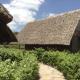AA Lodge Amboseli, Amboseli (foto 7)