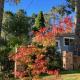 Sunflower House, a cozy cabin at Lake Wentworth Wentworth Falls - Foto 1
