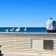 Kings Beach Relaxation - Pool, Beach ZE8, Caloundra (fotografie 2)