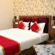 Hotel Singla Residency, Kangra (fotografie 5)