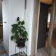 Apartman Lucia, Bilice (fotografie 5)