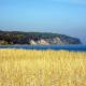 Ruegen_Fewo 241, Putbus - Photo 4