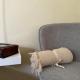 Cozy Place to Stay -Self check in 24h, レシツァ - 写真 9