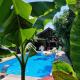 APARTMAN MURKO P-4, Любляна - Фото 9