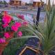 Pond Beach Oak residence, Harristown (foto 2)