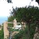 villa aloe 2, Costa Paradiso (photo 10)