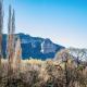 Titanic View - Place of Peace, Clarens - Photo 7