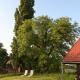 Hiška pod Klumpo, Ormoz (foto 2)