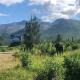 Denali Park Hotel, Healy (foto 2)