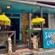 Surfer's Cafe& Hostel, Chatan