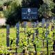 Red Door Collective - RDC Vineyard Estate, Luxury Adult Only Stay, Pokolbin (zdjęcie 2)
