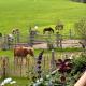 Obinghof, Fieberbrunn (foto 5)