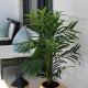 Apartment Ivona - beautiful terrace and free garage parking, Zadar (fotografie 7)