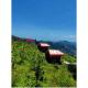 Manav Hill Resort Hotel, Sirmaur, Jarwā - 写真 4