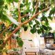 Fusion Homestay Accommodation, Mosta (foto 6)