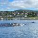 Leaba On The Lake, Killaloe (Foto 2)