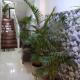 ALEGRO HOLIDAY HOMES, Palolem - Fotografie 5
