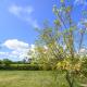 APPLEDOWN - Secluded Rural Retreat in Kingsdown, 10 mins to BEACH Kent - Foto 1