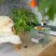 Inn Hantum, Hantum (Foto 7)