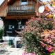 Winzerhaus Rose, Wald in der Weststeiermark