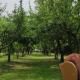 Villa Flamingo B&B, Castiglione di Cervia (fotografie 10)
