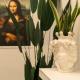 B&B Art, Reggio Calabria (foto 10)