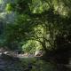 Holiday rental in Sumatra, Bukit Lawang (fotografie 3)