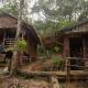 Holiday rental in Sumatra, Bukit Lawang (fotografie 6)