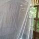 Holiday rental in Sumatra, Bukit Lawang (fotografie 10)