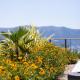 Villa Olive Garden, Brzac (Foto 5)