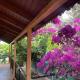 Ideal Cottage Holidays-Ιδανικές Εξοχικές Διακοπές, Áyioi Apóstoloi