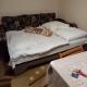 Apartament Ioana, Τιμισοάρα - Φωτογραφία 8