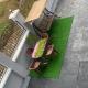 Deluxe Mansion, Buea (Foto 7)