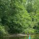 Cabin 2 - steps from the river!, Huntsville (fotografie 6)